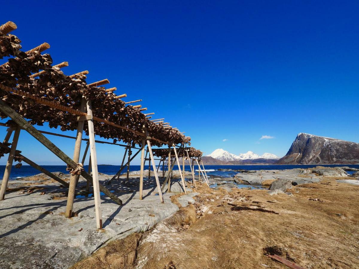 Midnight Sun View Lofoten Leknes Bagian luar foto