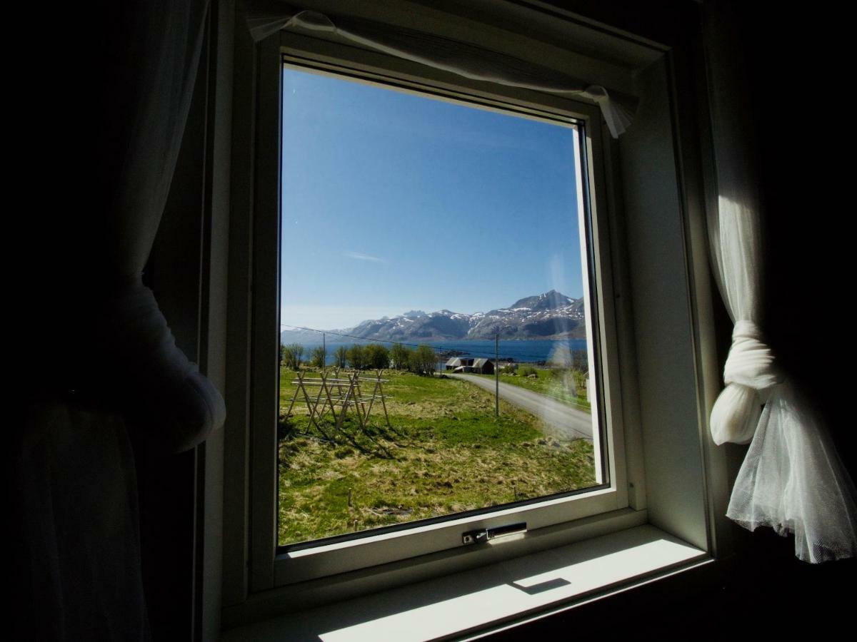 Midnight Sun View Lofoten Leknes Bagian luar foto